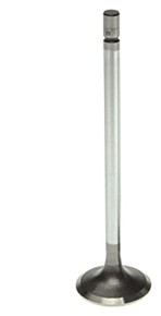 Mahle - Mahle Intake Valve, 2008-2010 6.4L Powerstroke