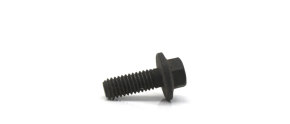 Cummins, Inc. - Genuine Cummins Hex Head Flange Bolt, 2003-2007 5.9L Cummins - Multiple Uses