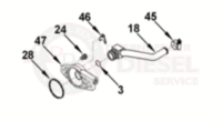 Cummins, Inc. - Genuine Cummins Water Transfer Connection Gasket, 1994-2002 5.9L - Image 2